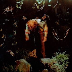 輸入盤 CAVETOWN / WORMFOOD 