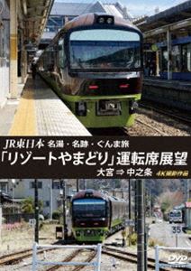 JR東日本 名湯・名跡・ぐんま旅「リゾートやまどり」運転席展