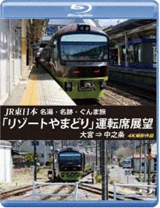 JR東日本 名湯・名跡・ぐんま旅「リゾートやまどり」運転席展