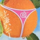 ORANGE RANGE / 上海ハニー [CD]