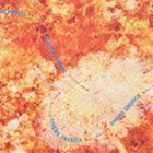 楽天ぐるぐる王国　楽天市場店（オムニバス） Slow Music Style： CINEMA AMERICA [CD]