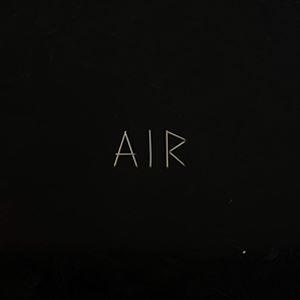 輸入盤 SAULT / AIR [LP]