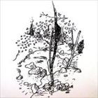 エスティーエル アット ディスコネクティッド モーメンツCD発売日2014/3/19詳しい納期他、ご注文時はご利用案内・返品のページをご確認くださいジャンル洋楽クラブ/テクノ　アーティストエス・ティー・エル収録時間組枚数1商品説明エス・ティー・エル / At Disconnected Momentsアット ディスコネクティッド モーメンツ輸入盤国内仕様※こちらの商品はインディーズ盤にて流通量が少なく、手配できなくなる事がございます。欠品の場合は分かり次第ご連絡致しますので、予めご了承下さい。関連キーワードエス・ティー・エル 商品スペック 種別 CD JAN 4526180154785 製作年 2014 販売元 ウルトラ・ヴァイヴ登録日2014/04/14