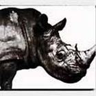 Mr.Children / Mr.Children 1992-1995 [CD]