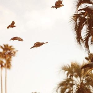 INTAGLIOLP発売日2018/8/10詳しい納期他、ご注文時はご利用案内・返品のページをご確認くださいジャンルジャズ・フュージョン海外ジャズ　アーティスト濱瀬元彦MOTOHIKO HAMASE収録時間組枚数商品説明MOTOHIKO HAMASE / INTAGLIO濱瀬元彦 / インタリオ※こちらの商品は【アナログレコード】のため、対応する機器以外での再生はできません。関連キーワード濱瀬元彦 MOTOHIKO HAMASE 商品スペック 種別 LP 【輸入盤】 JAN 0880319936814登録日2018/08/10