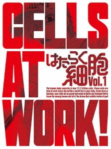 作品名: Wa行 - はたらく細胞 1（完全生産限定版） [Blu-ray]