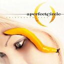 輸入盤 PERFECT CIRCLE / THIRTEENTH STEP [CD]