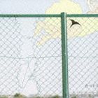 humming parlour / 食べすすんでいくと、少ししょっぱい。 [CD]