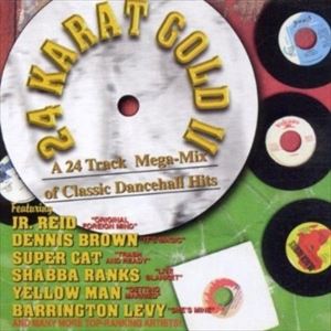A VARIOUS / 24 KARAT GOLD DANCEHALL MEGAMIX 2 [CD]