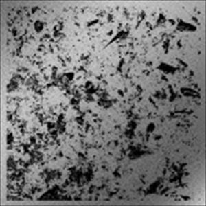 ショータヒラマ サーフCD発売日2015/1/29詳しい納期他、ご注文時はご利用案内・返品のページをご確認くださいジャンル邦楽クラブ/テクノ　アーティストshotahirama収録時間組枚数4商品説明shotahirama / surfサーフボックス仕様※こちらの商品はインディーズ盤にて流通量が少なく、手配できなくなる事がございます。欠品の場合は分かり次第ご連絡致しますので、予めご了承下さい。封入特典ポスター／缶バッチ2 個／ブックレット関連キーワードshotahirama 商品スペック 種別 CD JAN 4562293380833 製作年 2015 販売元 インパートメント登録日2015/01/08