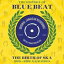 ͢ VARIOUS / HISTORY OF BLUE BEAT THE BIRTH OF SKA BB26-BB50 A  B SIDES [3CD]