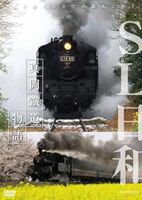DVD発売日2010/9/24詳しい納期他、ご注文時はご利用案内・返品のページをご確認くださいジャンル趣味・教養電車　監督出演収録時間80分組枚数1商品説明SL日和 真岡鐵道物語茨城県・下館駅から栃木県・茂木駅にかけて芳賀地方を走る第三セクターの真岡鐡道。週末を中心に活躍するC11-325、C12-66の2編成のSLに密着。二宮尊徳（金次郎）の里を訪ね、その報徳思想を知る一方、沿線の子供たちとSLの意外な関係、JR只見線に密着し、SLに半生をかけた職人の姿も追う。さらに、特別許可を得て撮影した動輪と機関室の映像をロングバージョンで紹介する。商品スペック 種別 DVD JAN 4560292371838 カラー カラー 製作年 2010 製作国 日本 音声 日本語DD（ステレオ）　　　 販売元 アネック登録日2010/06/18