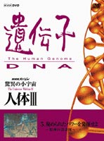DVD発売日2003/10/24詳しい納期他、ご注文時はご利用案内・返品のページをご確認くださいジャンル国内TVドキュメンタリー　監督出演古屋和雄収録時間54分組枚数1商品説明驚異の小宇宙 人体III 遺伝子 DNA 第5集人間の体内で起こるさまざまなドラマを、実写映像とCGを駆使して紹介するNHKサイエンススペシャルの、”遺伝子”をテーマにした第3シリーズの第5巻。「心」の領域にまで達してきている遺伝子研究。次々と明らかになる「心の遺伝子」の世界を探る。商品スペック 種別 DVD JAN 4988066135842 画面サイズ スタンダード カラー カラー 製作年 1999 製作国 日本 音声 日本語ドルビー（ステレオ）　　　 販売元 NHKエンタープライズ登録日2005/12/27