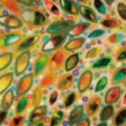 ベースドオンキョウト ベースドオンキョウトCD発売日2009/5/13詳しい納期他、ご注文時はご利用案内・返品のページをご確認くださいジャンル邦楽クラブ/テクノ　アーティストBASED ON KYOTO収録時間57分15秒組枚数1商品説明BASED ON KYOTO / BASED ON KYOTOベースドオンキョウトクラブ系ユニット、BASED　ON　KYOTOのファースト・アルバム。ジャズ、ラテン、ダブなど様々なフィーリングを感じさせつつも、京都ならではの柔らかな空気感と生楽器によるライブ感で包み込んだ、ピースフルでビューティフルな新感覚ダンス・ミュージック。　（C）RS関連キーワードBASED ON KYOTO JAPONICA、bud music inc. 収録曲目101.Intro(1:26)02.Flower(7:43)03.I Want You(5:16)04.Just After The Rain(9:02)05.Calypso On-seng(6:27)06.Espsp(1:25)07.15 Count Dub(3:58)08.Flying Pan(7:06)09.Tempo Happy(2:39)10.Before Dawn(1:17)11.Sunrise(10:56)商品スペック 種別 CD JAN 4543034019847 製作年 2009 販売元 スペースシャワーネットワーク登録日2009/02/24