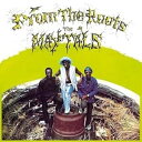 輸入盤 MAYTALS / FROM THE ROOTS [LP]