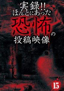 実録!!ほんとにあった恐怖の投稿映像 15 [DVD]