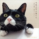 秋元順子 / 令和元年の猫たち [CD]