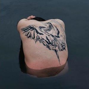 ジョディ / ブルー・ヘロン [CD](2.0)