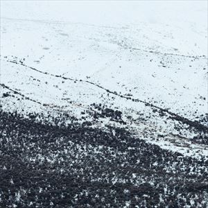 Other - Submerse / AWAKE [CD]
