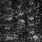 輸入盤 SECRET / AGNUS DEI [LP]