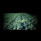 輸入盤 HAXAN CLOAK / HAXAN CLOAK [CD]