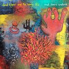 輸入盤 DAVID KILGOUR ＆ THE HEAVY EIGHTS / END TIMES UNDONE [CD]
