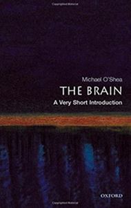 Rakuten - OPB VSI： Brain ＃144
