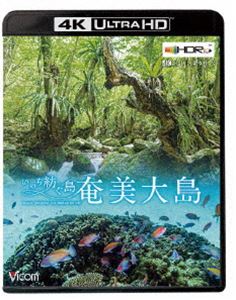 ӥ 4K Relaxes 4KHDRۡΤ¤ [Ultra HD Blu-ray]