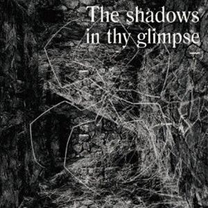 The Shadows In Thy Glimpse： Bedouin Records Selected Discography 2016-2018 [CD]