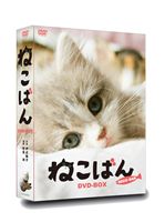 Ϣ³ƥӥɥ ͤФ DVD-BOX [DVD]