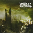 輸入盤 METAMORPHOSIS / ARTIFICIAL DISASTER CD