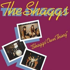 ザ・シャッグス / シャッグスズ・オウン・シング [CD]