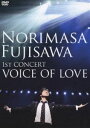 藤澤ノリマサ／1st CONCERT VOICE OF LOVE DVD