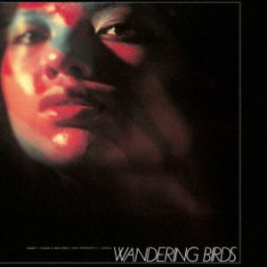 稲垣次郎とソウル・メディア / 女友達（Clear Purple Vinyl） [レコード 12inch]