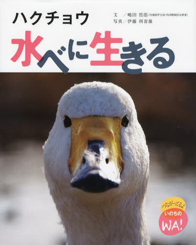 嶋田哲郎／文 伊藤利喜雄／写真 松原巌樹／イラストつながってるよいのちのWA!本詳しい納期他、ご注文時はご利用案内・返品のページをご確認ください出版社名小峰書店出版年月2012年09月サイズ36P 29cmISBNコード9784338270021児童 創作絵本 写真絵本商品説明ハクチョウ水べに生きるハクチヨウ ミズベ ニ イキル ツナガツテル ヨ イノチ ノ ワ※ページ内の情報は告知なく変更になることがあります。あらかじめご了承ください登録日2013/04/09
