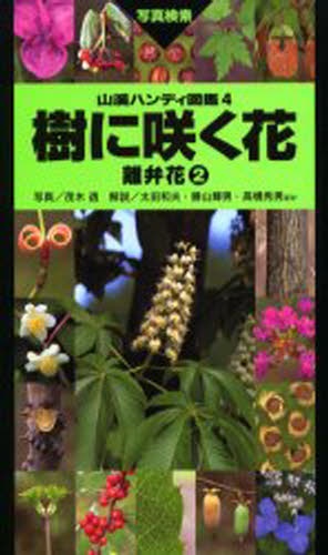 樹に咲く花 離弁花2