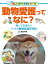 ぐるぐる王国 楽天市場店
