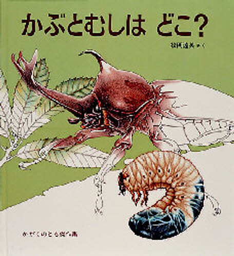 かぶとむしはどこ?