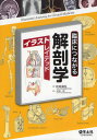 臨床につながる解剖学イラストレイテッド