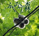 ふくろうの森