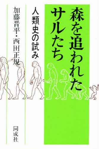 加藤晋平／著 西田正規／著本詳しい納期他、ご注文時はご利用案内・返品のページをご確認ください出版社名同成社出版年月1986年05月サイズ207P 20cmISBNコード9784886210340人文 歴史 考古学一般商品説明森を追われたサルたち 人類史の試みモリ オ オワレタ サルタチ ジンルイシ ノ ココロミ※ページ内の情報は告知なく変更になることがあります。あらかじめご了承ください登録日2013/04/03