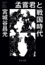 孟嘗君と戦国時代(3)