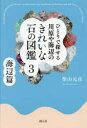 ひとりで探せる川原や海辺のきれいな石の図鑑 3