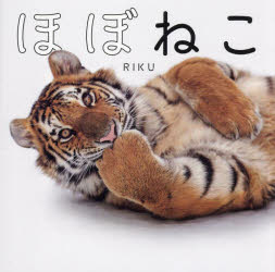 ほぼねこ ネコ科の猛獣たちのネコみたいな写真集