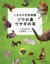 ゾウの鼻ウサギの耳
