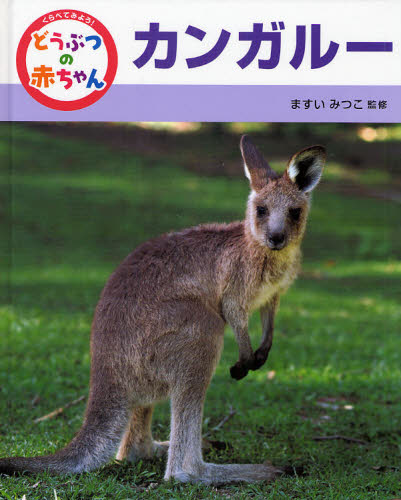 くらべてみよう!どうぶつの赤ちゃん 7