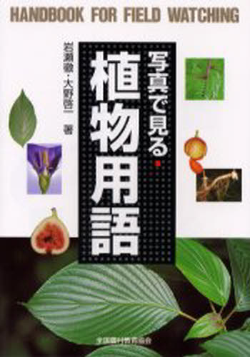 写真で見る植物用語