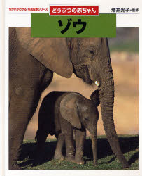 ゾウ