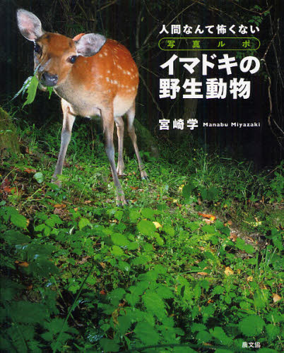 イマドキの野生動物 人間なんて怖くない 写真ルポ