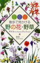 散歩で見かける野の花・野草 春の野の花・野草 夏の野の花・野草 秋/冬の野の花・野草